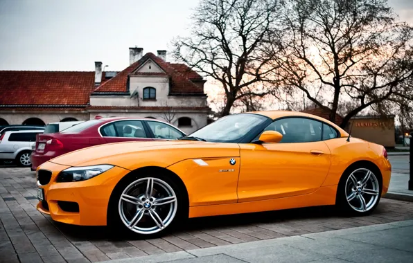 Picture BMW, Orange, the beauty, drives