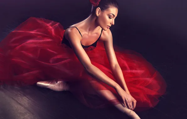 Flower, pose, background, rose, skirt, makeup, Mike, brunette