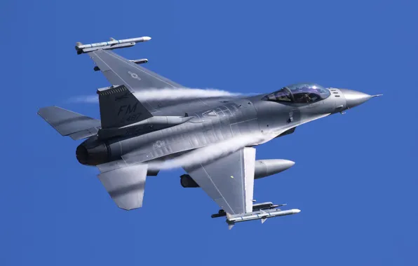 The plane, Fighting Falcon, F-16C, F-16C Fighting Falcon