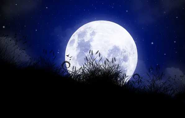 Picture moon, grass, full, Long
