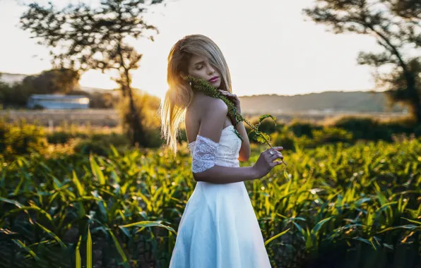 Look, girl, the sun, nature, pose, the evening, dress, bokeh
