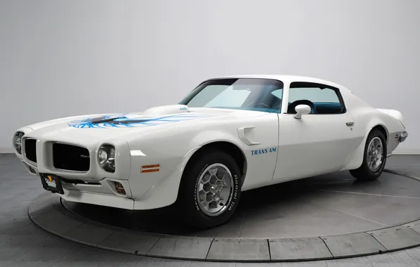 White, car, Pontiac, Pontiac, Firebird, Trans Am, 1973