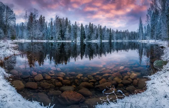 Picture winter, forest, the sky, clouds, snow, trees, clouds, nature