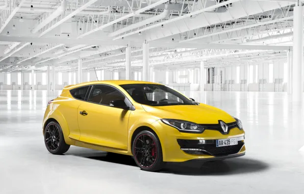 Picture Renault, Megane, 2013