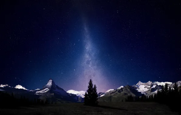 Forest, stars, mountains, night, Alps, the milky way