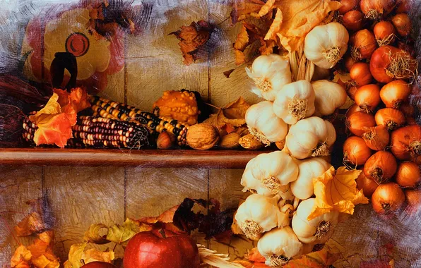 Apple, corn, harvest, bow, nuts, still life, vegetables, garlic
