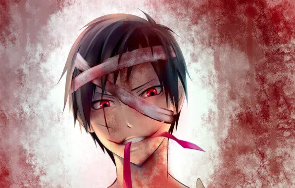 Look, anime, art, guy, Durarara!!, Of Izaya Orihara