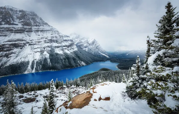 Winter, forest, snow, mountains, Canada, lake Peyto