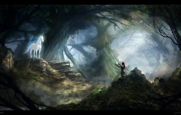 Picture forest, stones, woman, meeting, unicorn, call, UNICORN