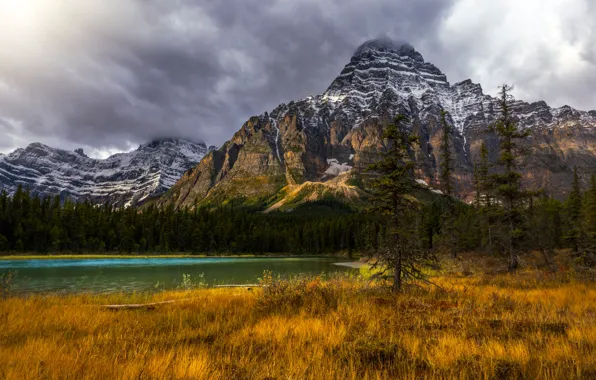 Picture forest, mountains, lake, Canada, Albert, Banff National Park, Alberta, Canada