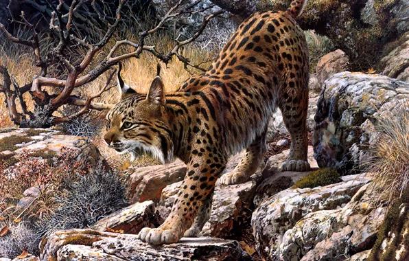 Look, branches, nature, pose, stones, figure, picture, art