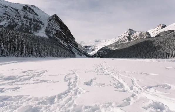 Winter, field, forest, snow, mountains, traces, the slopes, ate