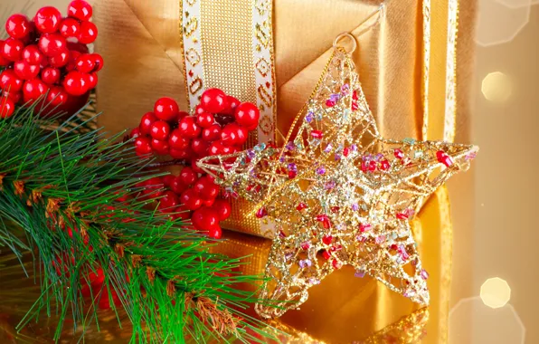 Gift, star, new year, branch berries, pine branch