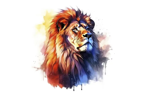 Look, face, portrait, Leo, watercolor, white background, painting, looking up