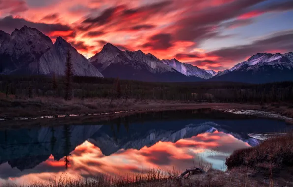 Picture forest, the sky, sunset, mountains, lake, reflection, shore, tops