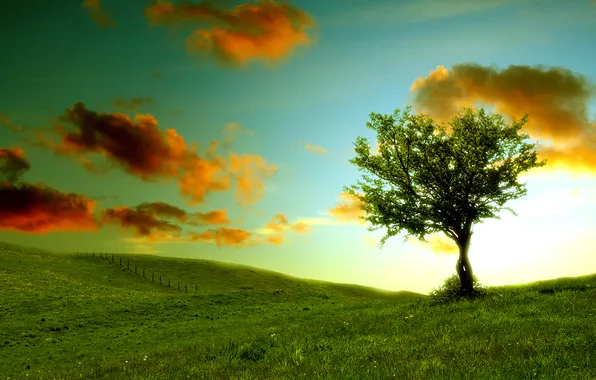 Picture the sky, clouds, landscape, nature, hills, weed, greens. tree