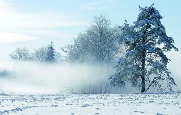 Picture winter, snow, landscape, nature, winter