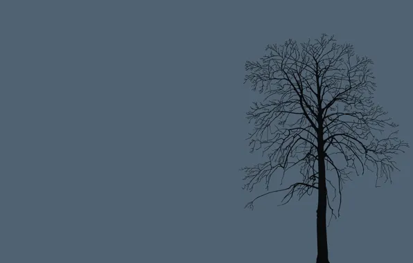 Trees, branches, nature, background