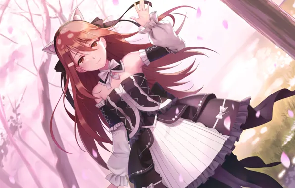 Look, Hair, Girl, Anime
