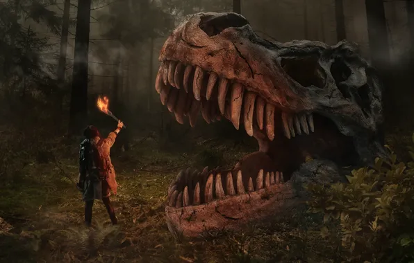 Forest, night, dragon, people, skull, dinosaur, mouth, fangs