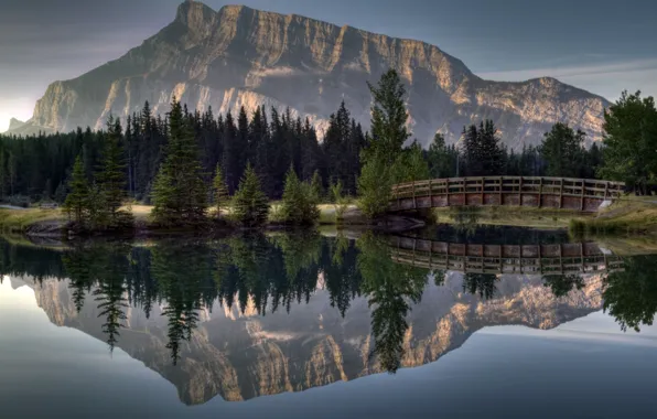 Picture forest, river, landscape, bridge, mountains