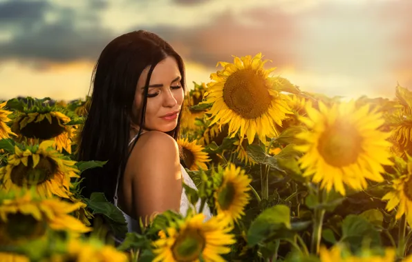 Summer, girl, sunflowers, nature, brunette, Maciej Werbliński