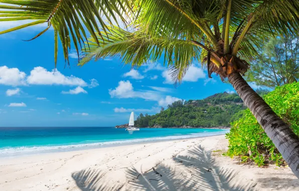 Nature, stay, island, islands