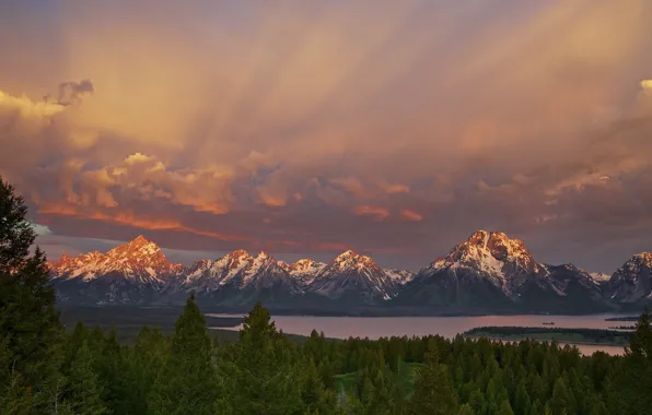 Forest, the sky, mountains, lake, morning, USA, Wyoming, national Park Grand Teton