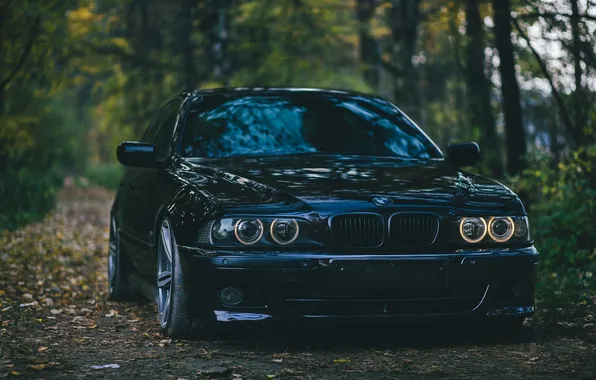 BMW, Sedan, Black, E39