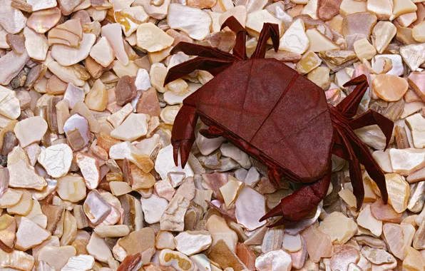 Paper, crab, origami, stones