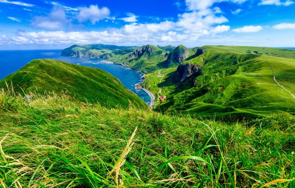 Sea, greens, summer, the sky, grass, mountains, blue, hills