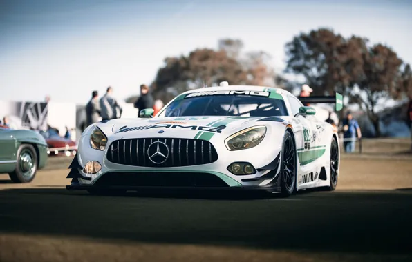 Picture Mercedes-Benz, AMG, GT3