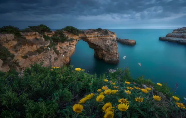 Sea, flowers, rocks, shore, view, yellow, slope, arch