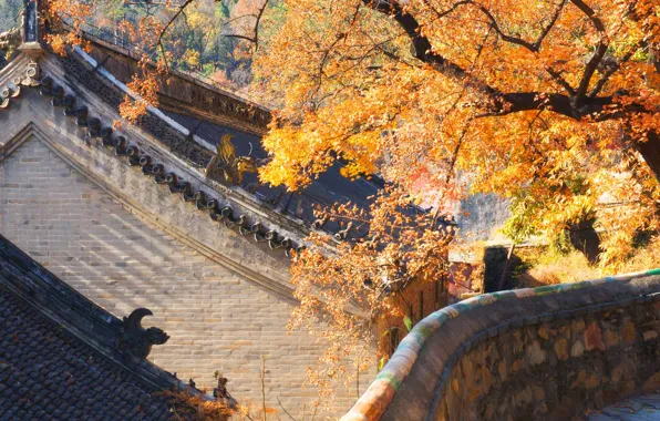 Roof, autumn, house, China, Beijing