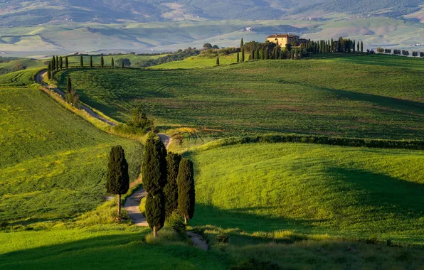 Picture nature, Pienza, Tuscany