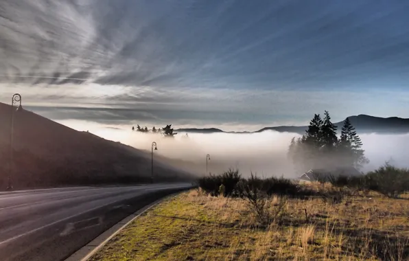 Picture road, fog, morning