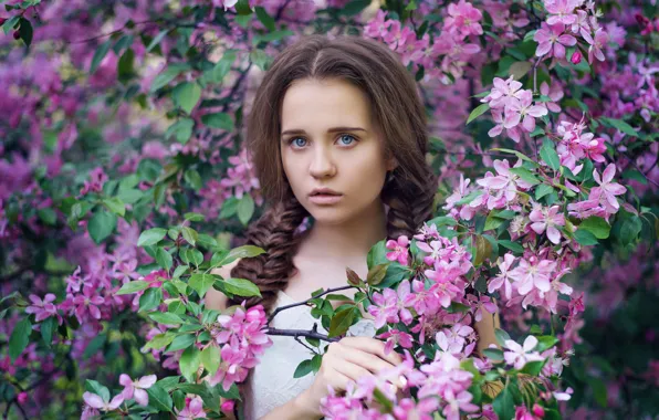 Picture look, branches, face, mood, spring, Apple, flowering, flowers