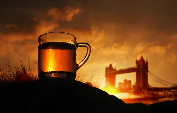 Grass, sunset, the city, background, tea, England, London, the evening