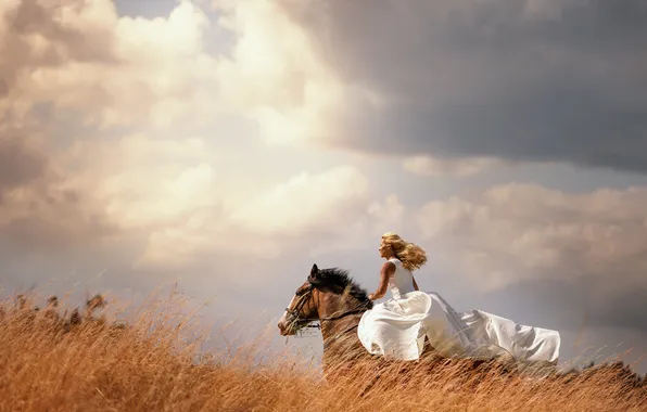 Field, girl, nature, horse, woman, horse, top, on horseback