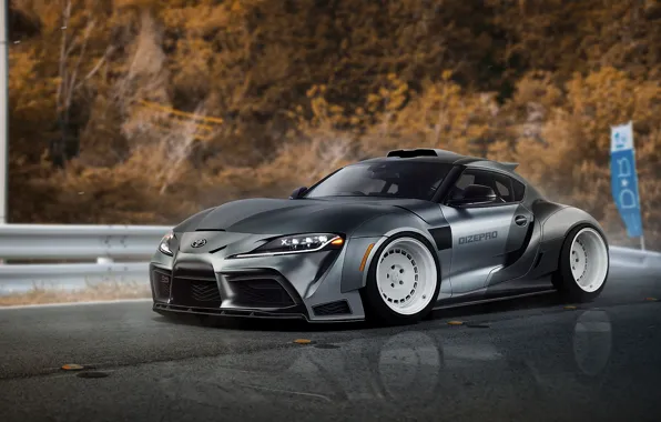 Auto, Machine, Grey, Toyota, Toyota Supra, Transport & Vehicles, Dmitry Strukov, by Dmitry Strukov
