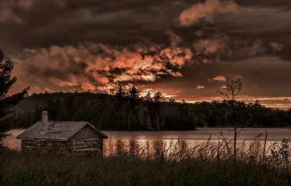 Picture forest, lake, the barn, Canada