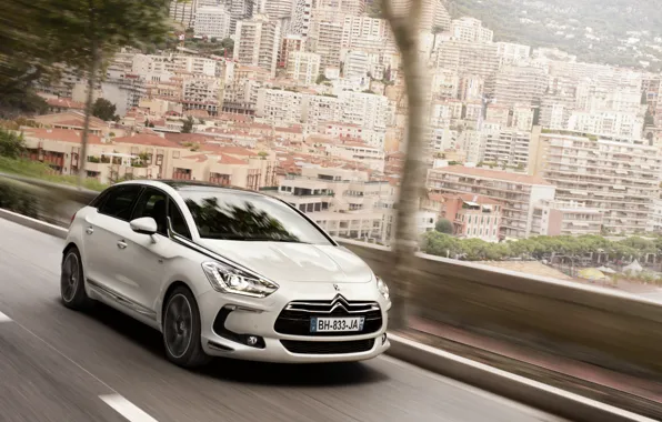 Machine, dream, Citroen DS5
