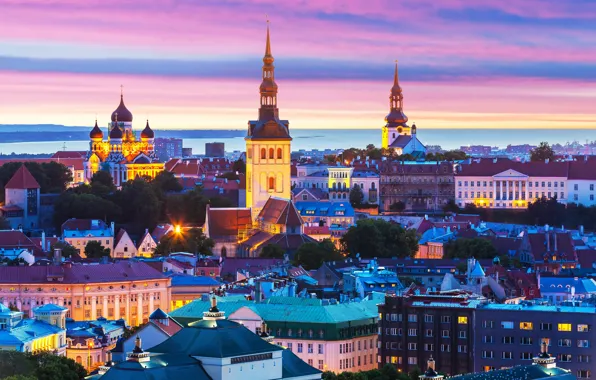 Building, Estonia, Tallinn, panorama, night city, Tallinn, Estonia