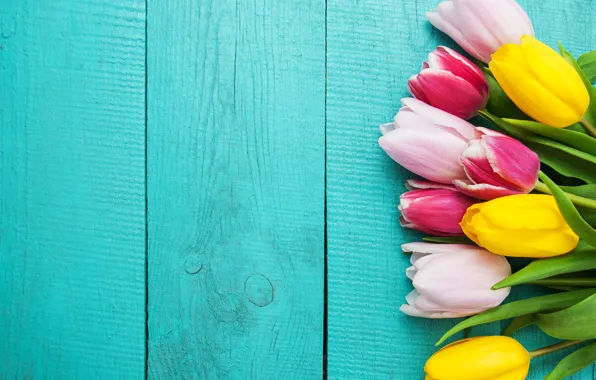 Colorful, tulips, pink, yellow, wood, pink, flowers, tulips