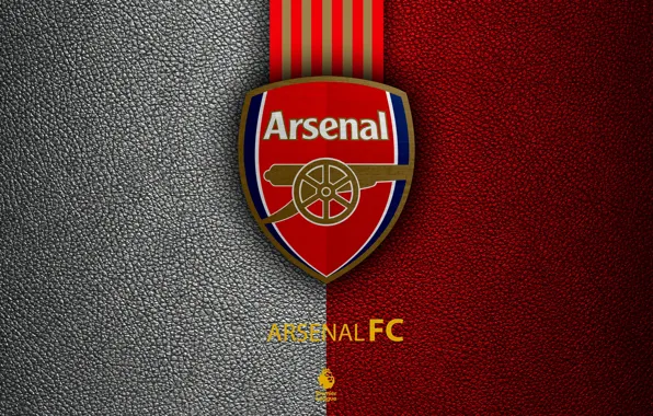 Download Logo Interesting History Of The Team Name - Arsenal Football Club Logo  PNG Image with No Background - PNGkey.com