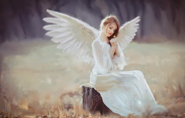 Field, girl, nature, face, pose, glade, stump, wings