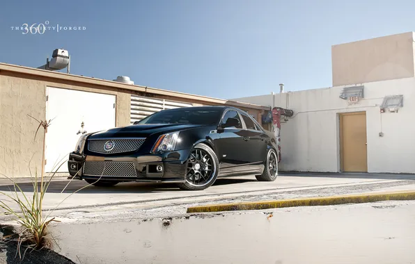Picture CTS-V, 360, forged