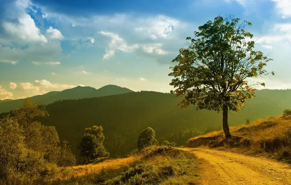 Road, forest, the sky, clouds, trees, sunset, mountains, hills