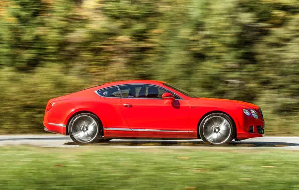 Picture Red, Auto, Bentley, Continental, Forest, Coupe, Side view, In Motion