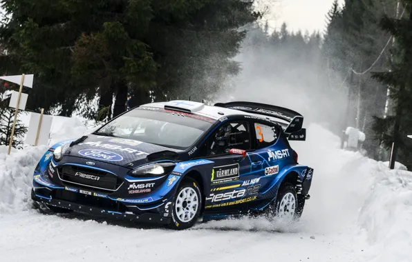Picture ford, rally, wrc, fiesta, sweden